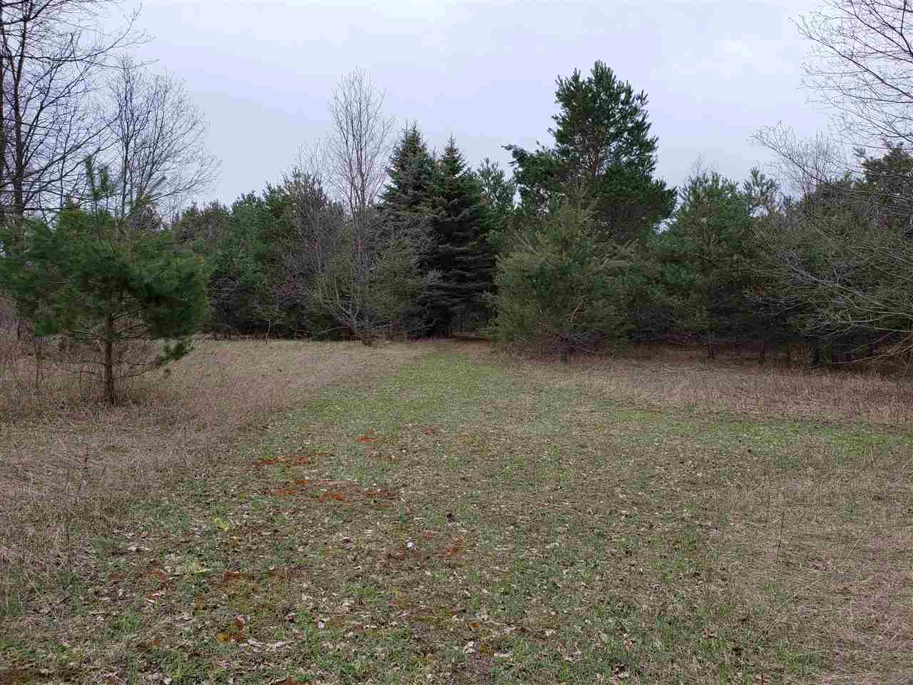 9318 West Walker Road Manton, MI 49663 - Photo 30 of 33 1860308-29.JPG