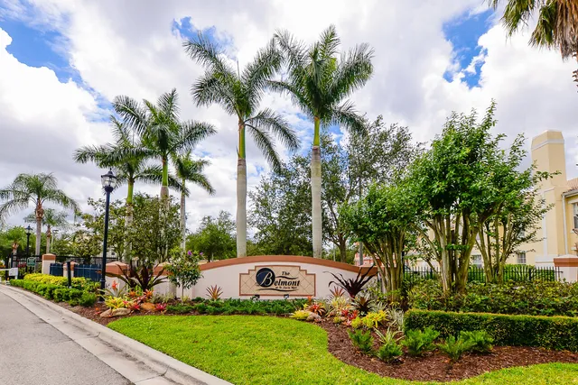 a view of garden with palm trees
