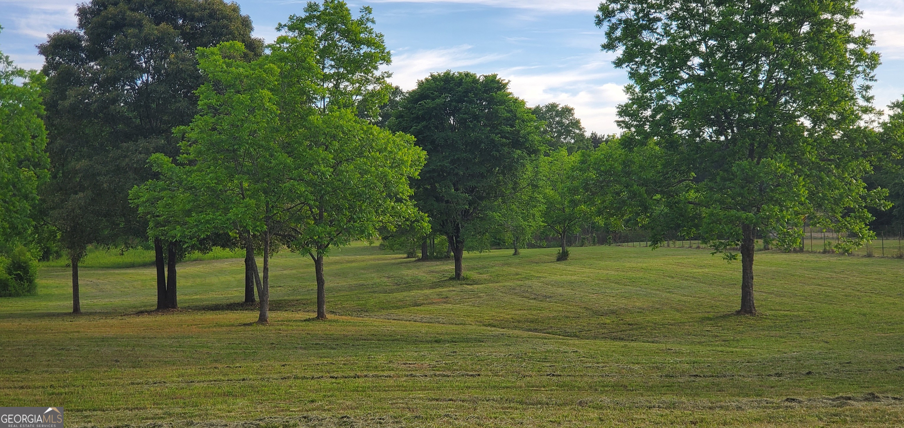 1135 Burger Road Watkinsville, GA 30677 - Photo 14 of 20 a view of a field with trees in the background