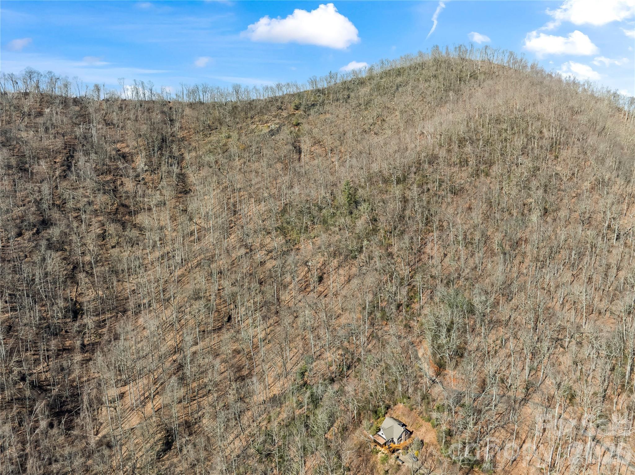 31 Reillys Blf Road, Unit 2 Barnardsville, NC 28709 - Photo 5 of 13