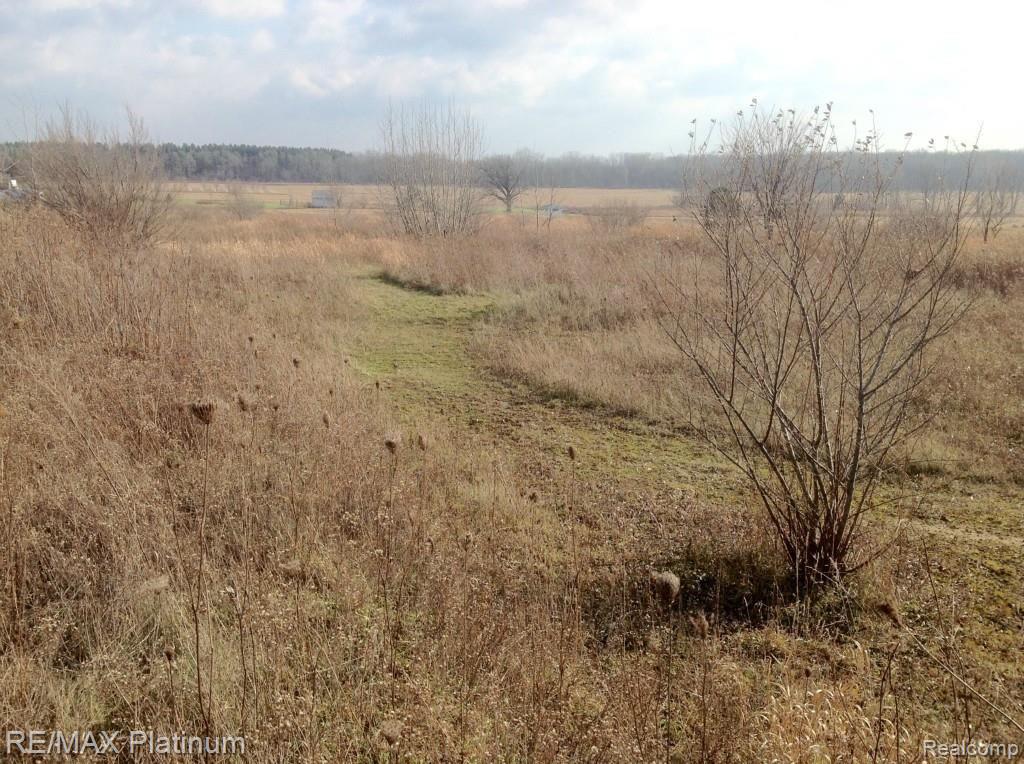 13065 South New Lothrop Road Byron, MI 48418 - Photo 2 of 5 View from center of property looking East