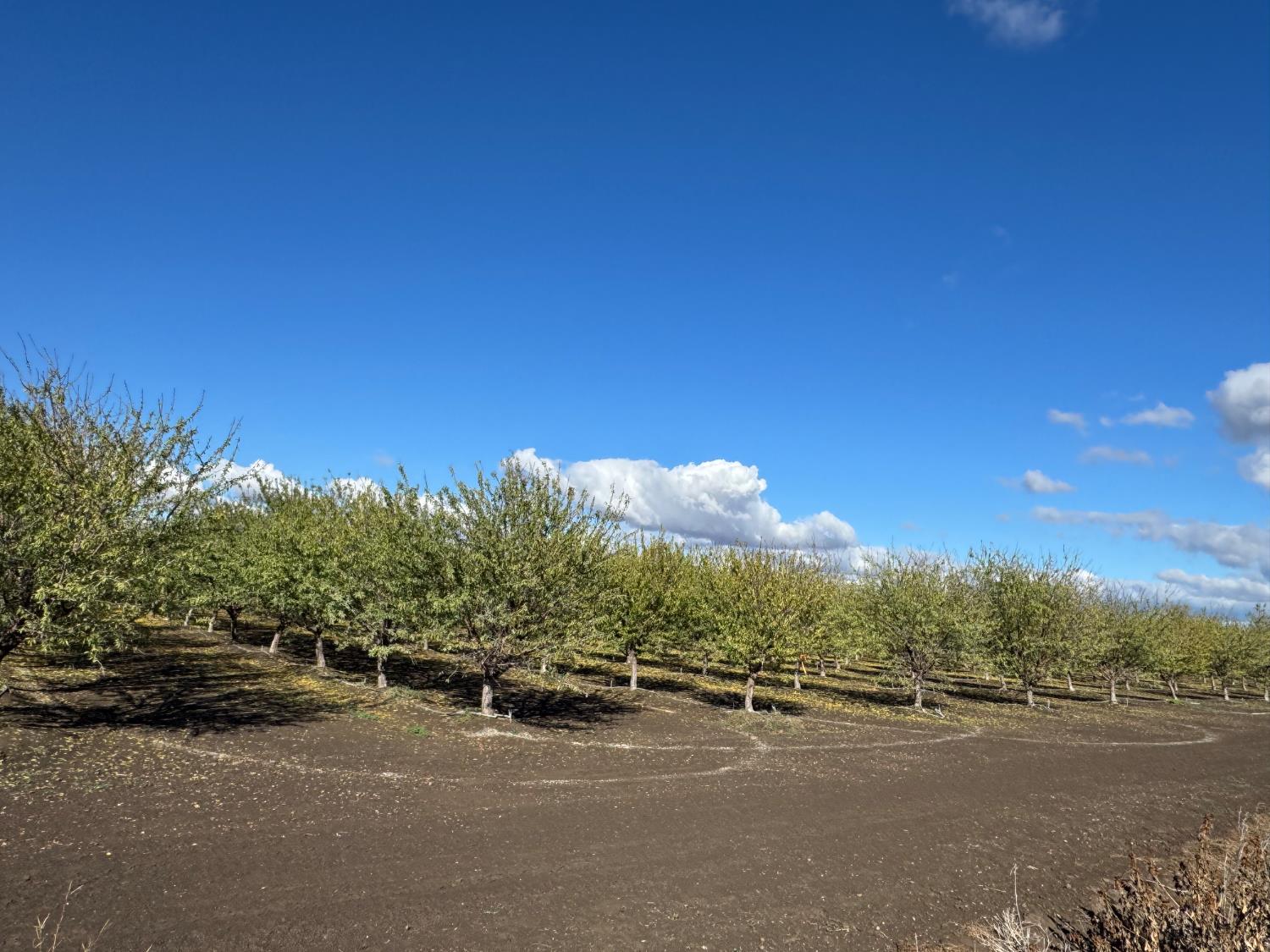 0 Striplin Road Nicolaus, CA 95659 - Photo 3 of 9 a view of a street