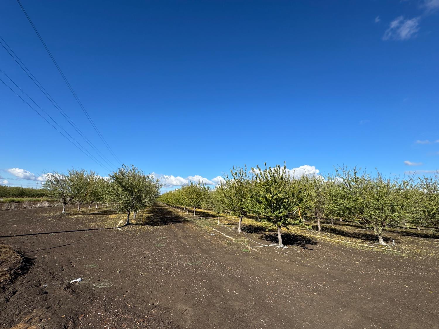0 Striplin Road Nicolaus, CA 95659 - Photo 6 of 9 a view of a road with a yard