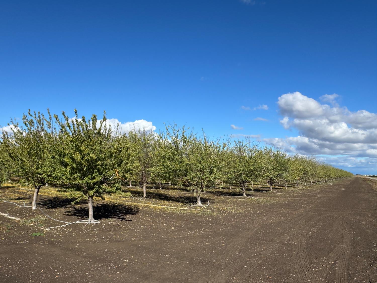 0 Striplin Road Nicolaus, CA 95659 - Photo 7 of 9