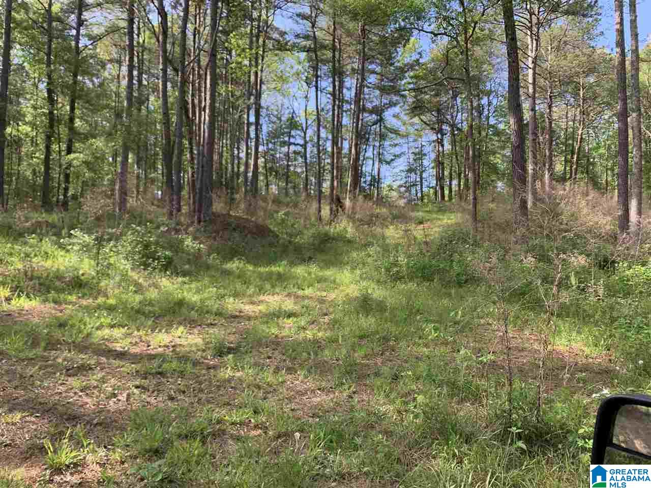 1585 Rex Lake Road, Unit 1585 Leeds, AL 35094 - Photo 15 of 16