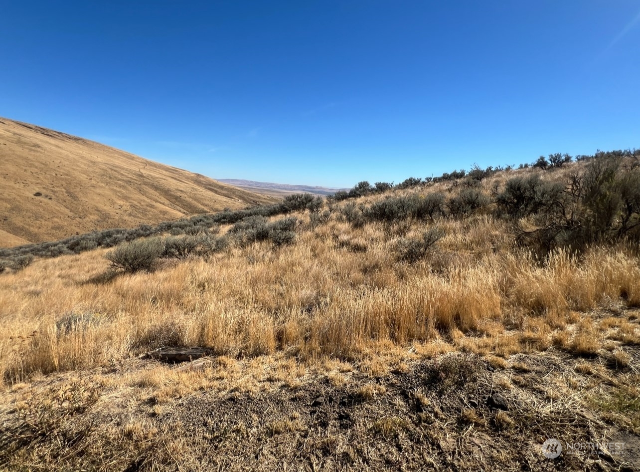 0 Unkown Yakima, WA 98901 - Photo 2 of 11
