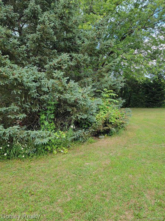 9910 Sharp Road Clifford, MI 48727 - Photo 40 of 42