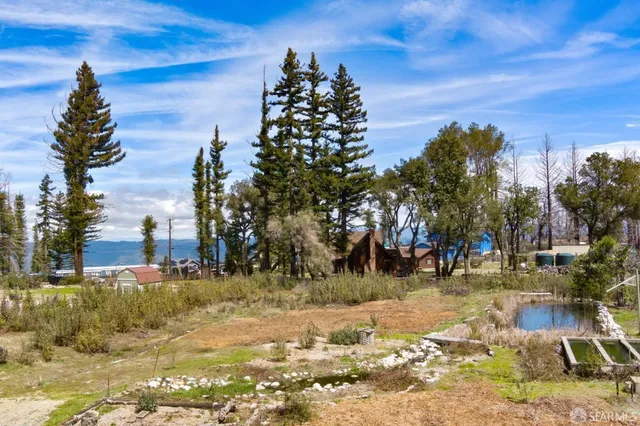 a backyard of a house with lots of green space