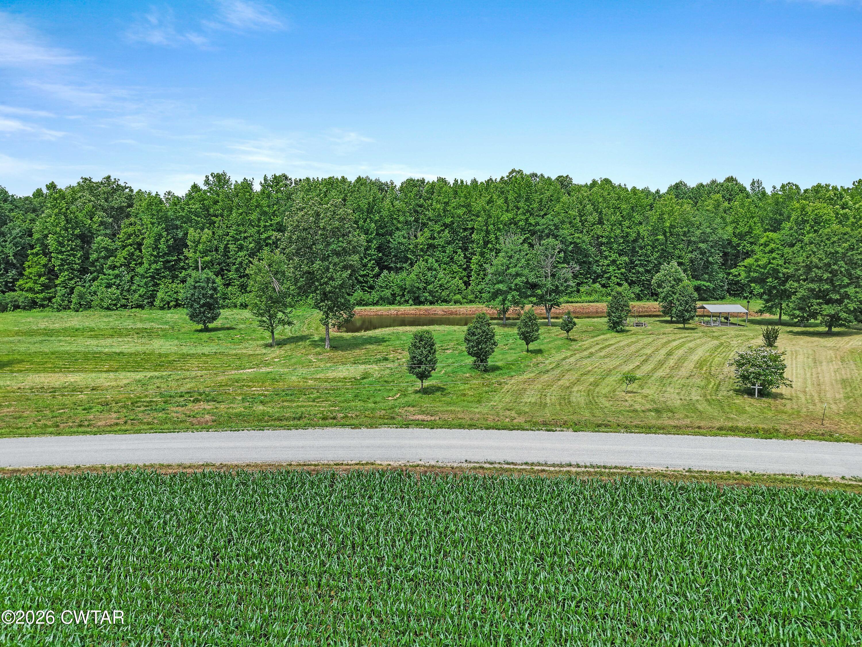 375 Adams Road Henry, TN 38231 - Photo 16 of 21 DJI_20260528114644_0970_D