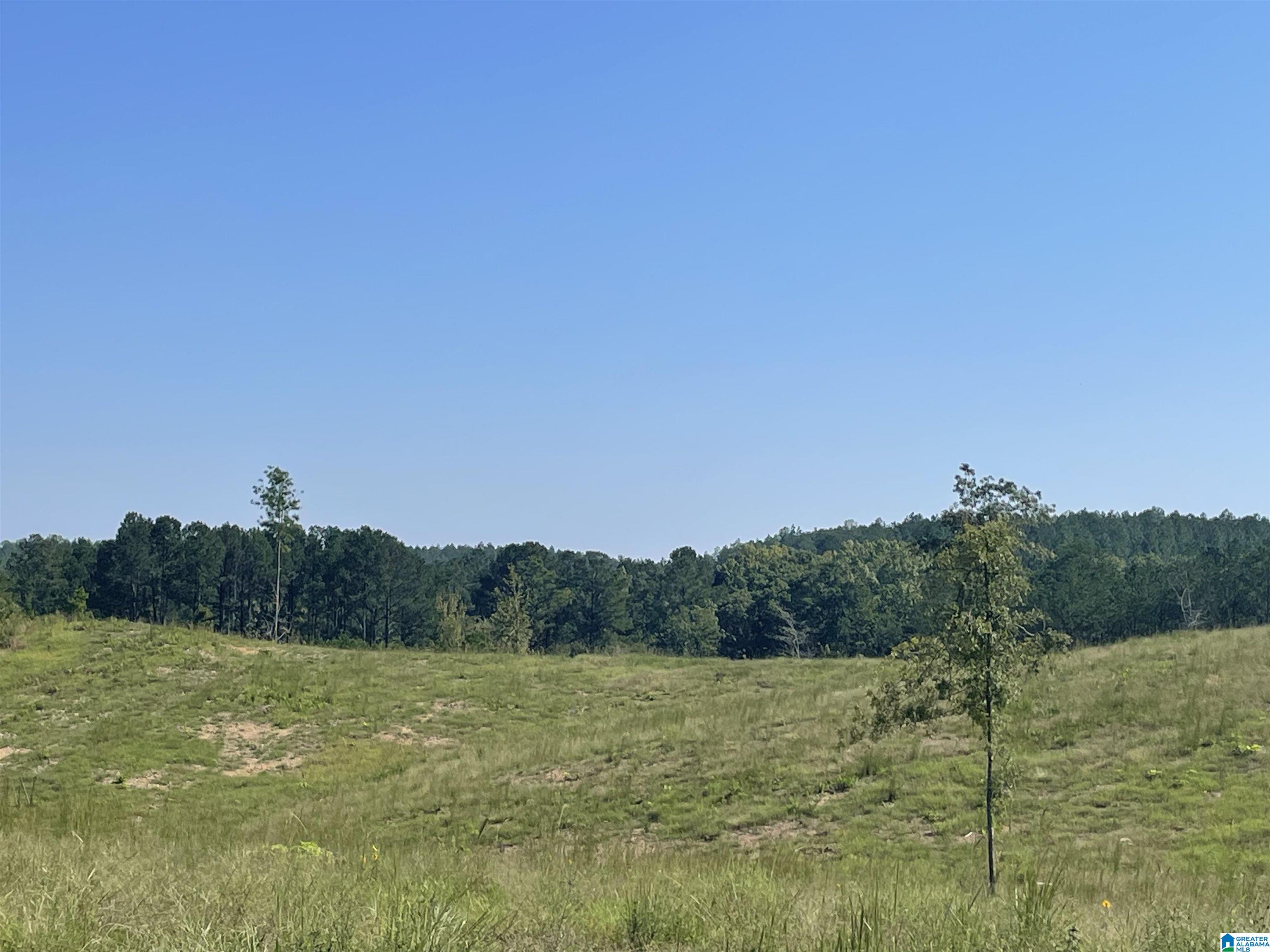 3679 Chelsea Road, Unit 2 Columbiana, AL 35051 - Photo 10 of 13