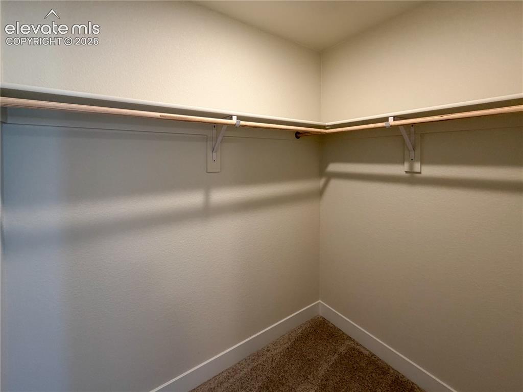 8206 Lemon Grass Road Peyton, CO 80831 - Photo 29 of 33