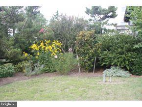 39820 Dukes Road Bethany Beach, DE 19930 - Photo 11 of 12 Gallery Image 11