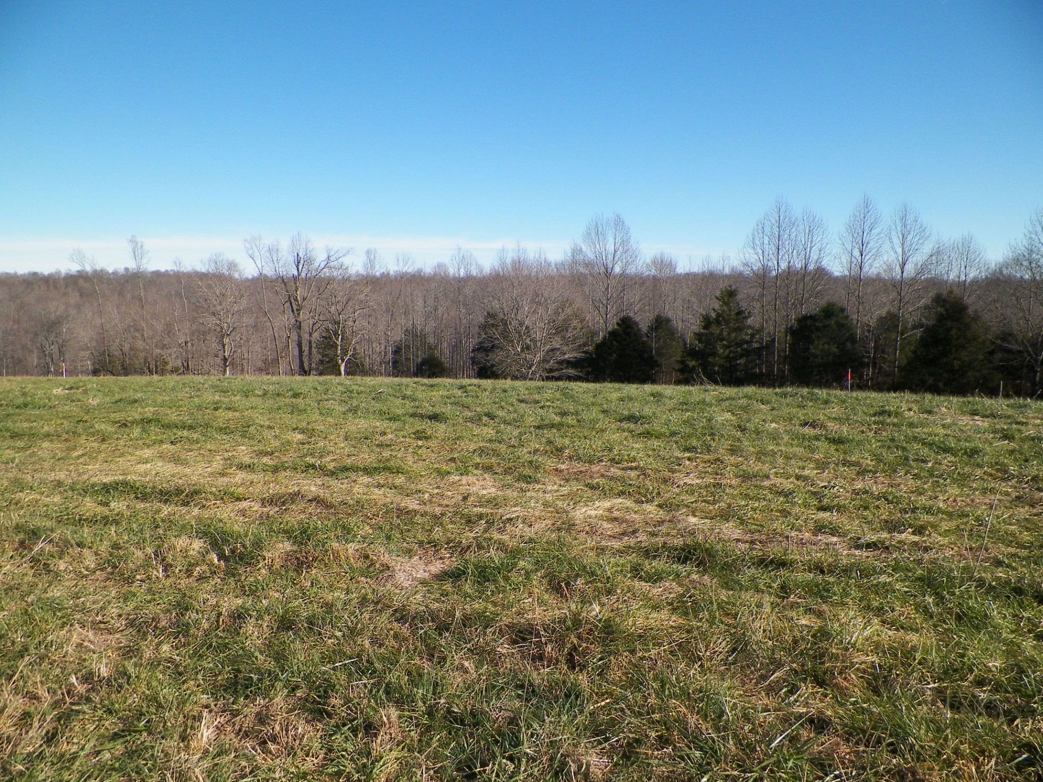 6 Oak Grove Road Red Boiling Springs, TN 37150 - Photo 1 of 1 a view of a field with trees in the background