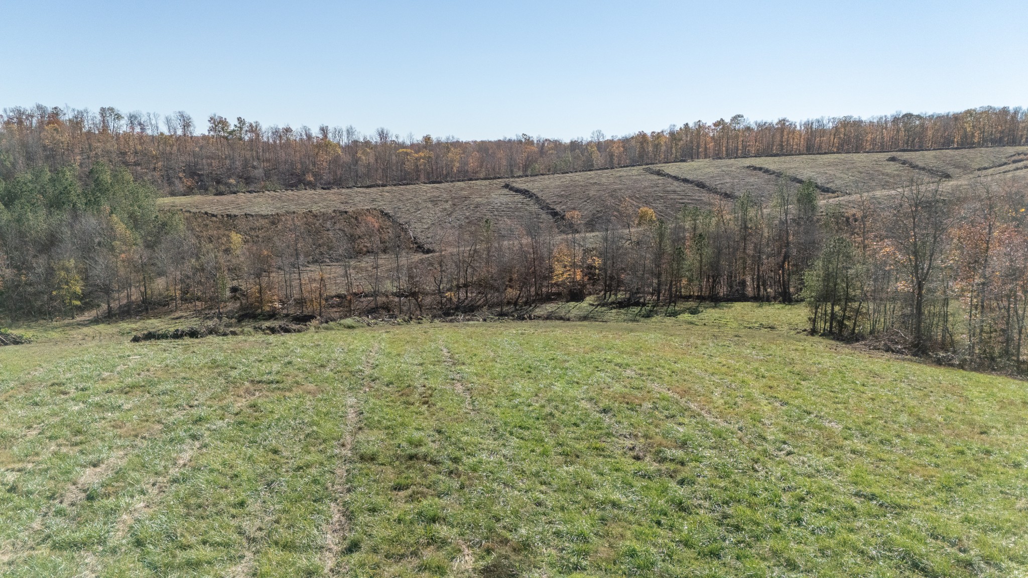 0 Ray Road Waynesboro, TN 38485 - Photo 11 of 11 Gallery Image 11