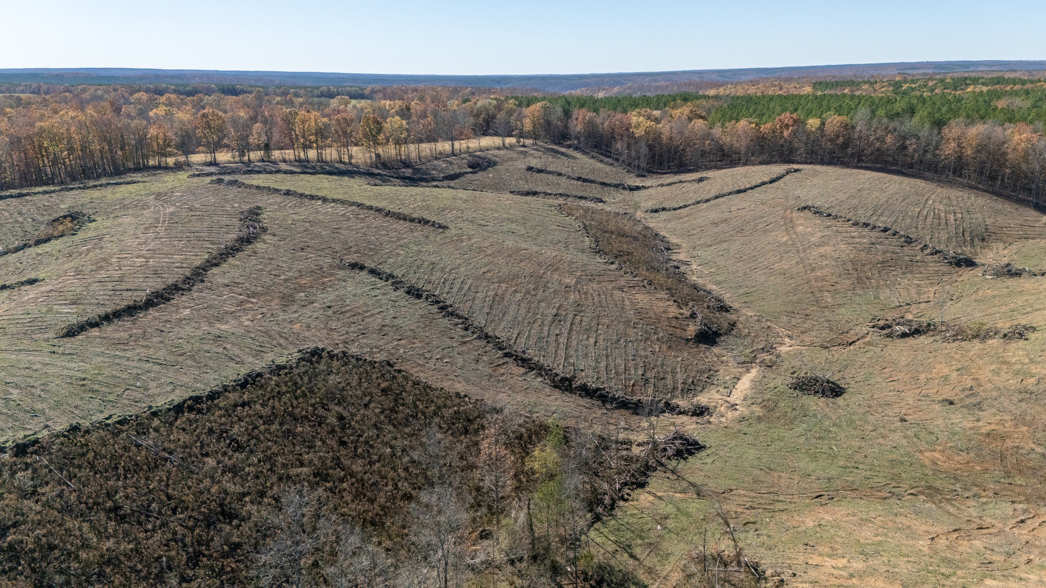 0 Ray Road Waynesboro, TN 38485 - Photo 9 of 11 Gallery Image 9