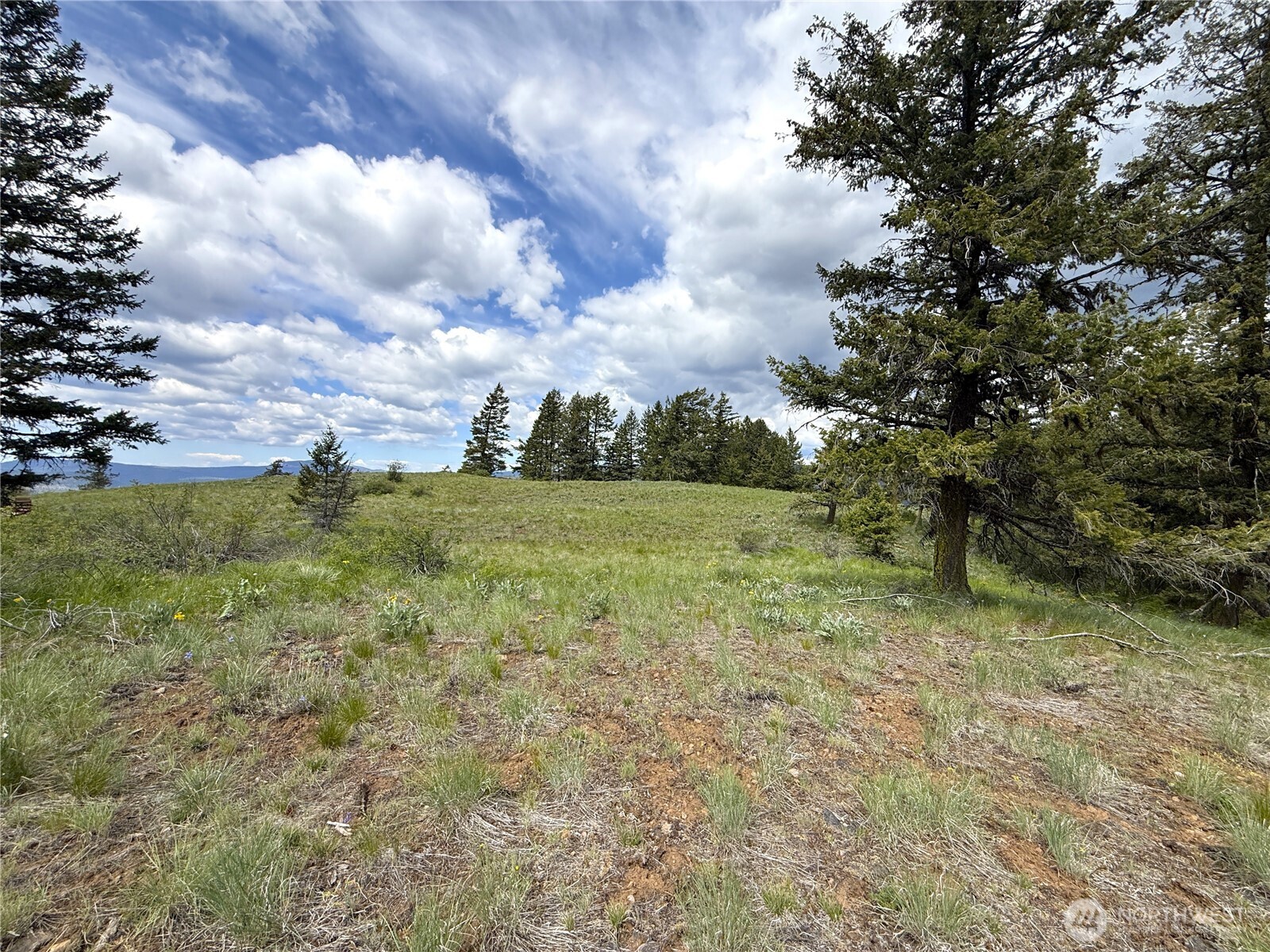 19 Union Ridge Spur Road Republic, WA 99166 - Photo 20 of 33 a view of a field with an trees