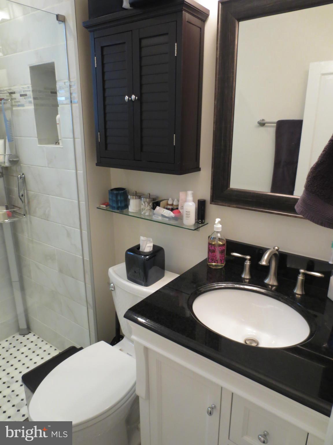 1823 Riggs Place Northwest, Unit 3 Washington, DC 20009 - Photo 18 of 27 Bath