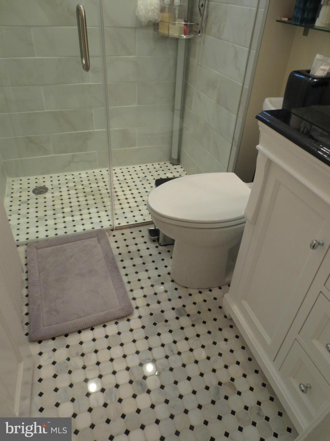 1823 Riggs Place Northwest, Unit 3 Washington, DC 20009 - Photo 19 of 27 Bath