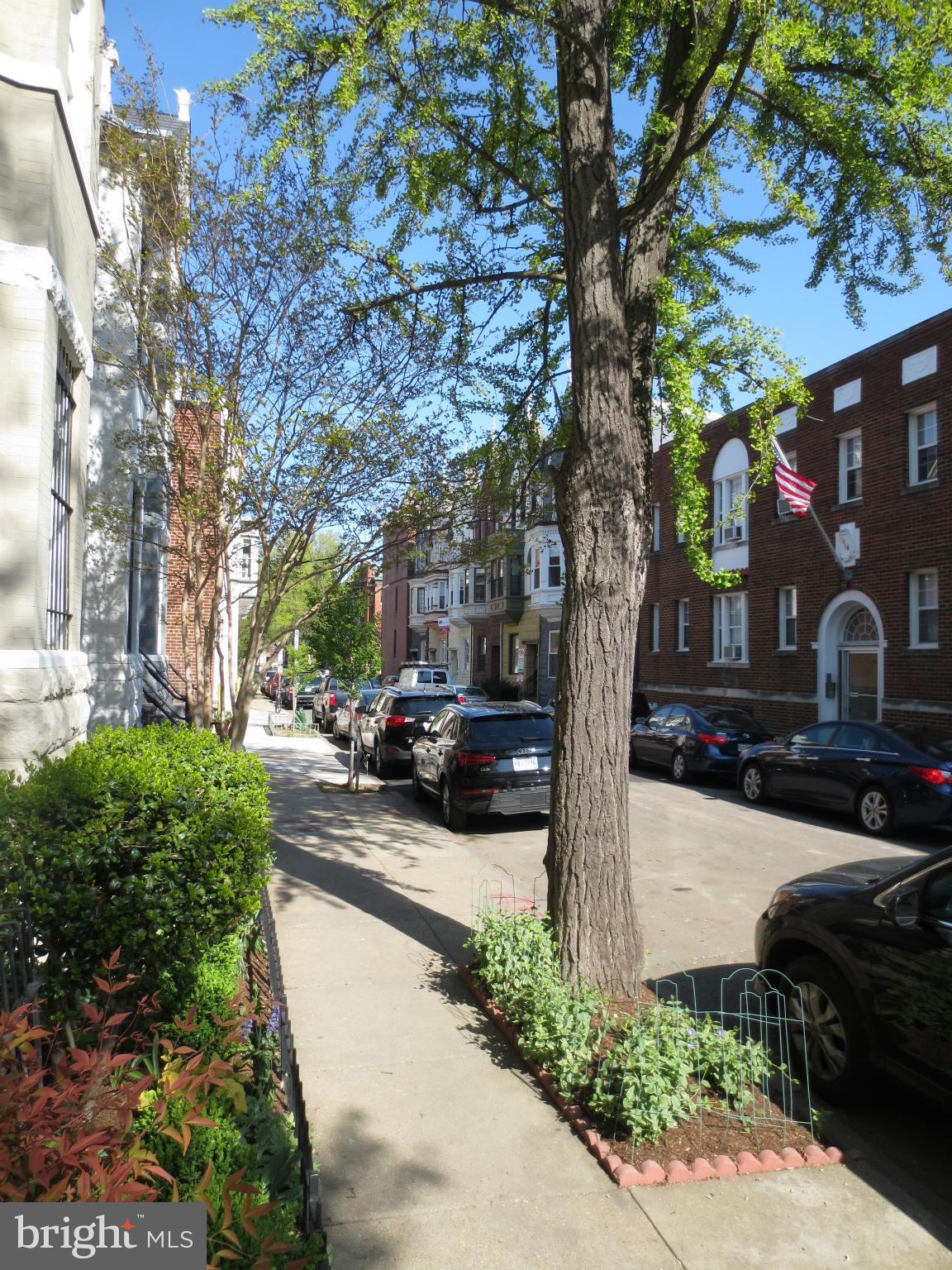 1823 Riggs Place Northwest, Unit 3 Washington, DC 20009 - Photo 25 of 27 View