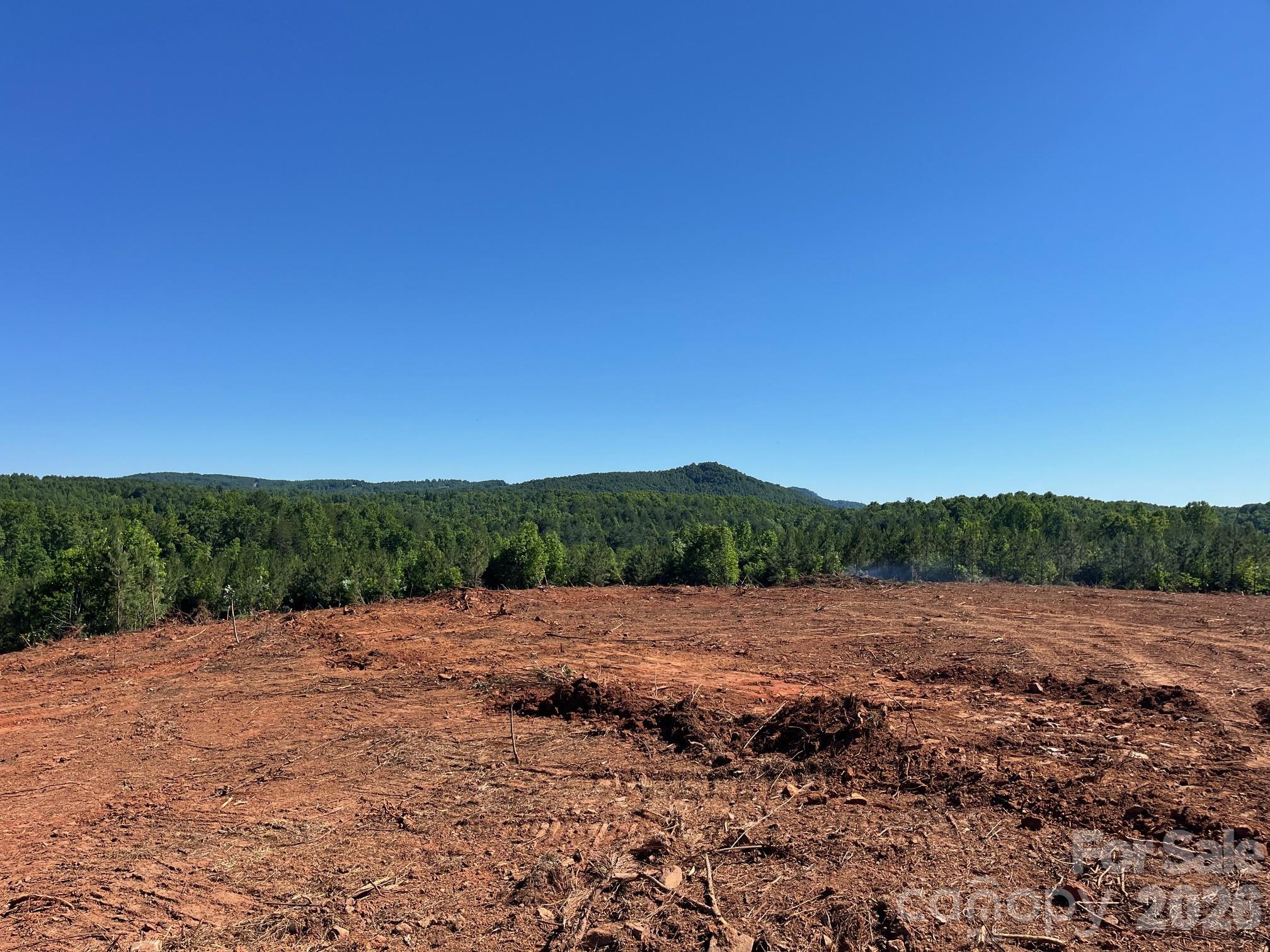 Tbd Vein Mountain Road, Unit 20 Nebo, NC 28761 - Photo 14 of 17