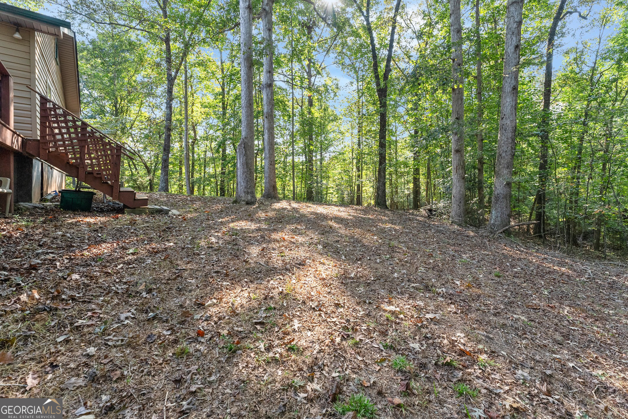 350 Old River Road Cornelia, GA 30531 - Photo 37 of 42 a view of a yard with large trees