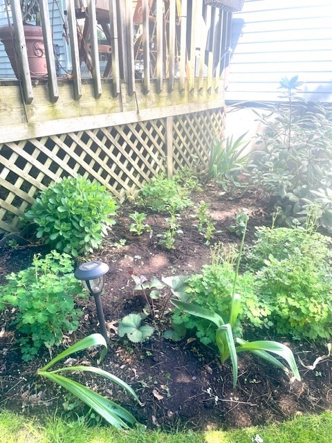 33 Debra Lane Framingham, MA 01701 - Photo 38 of 40 a bathroom with a sink and a mirror