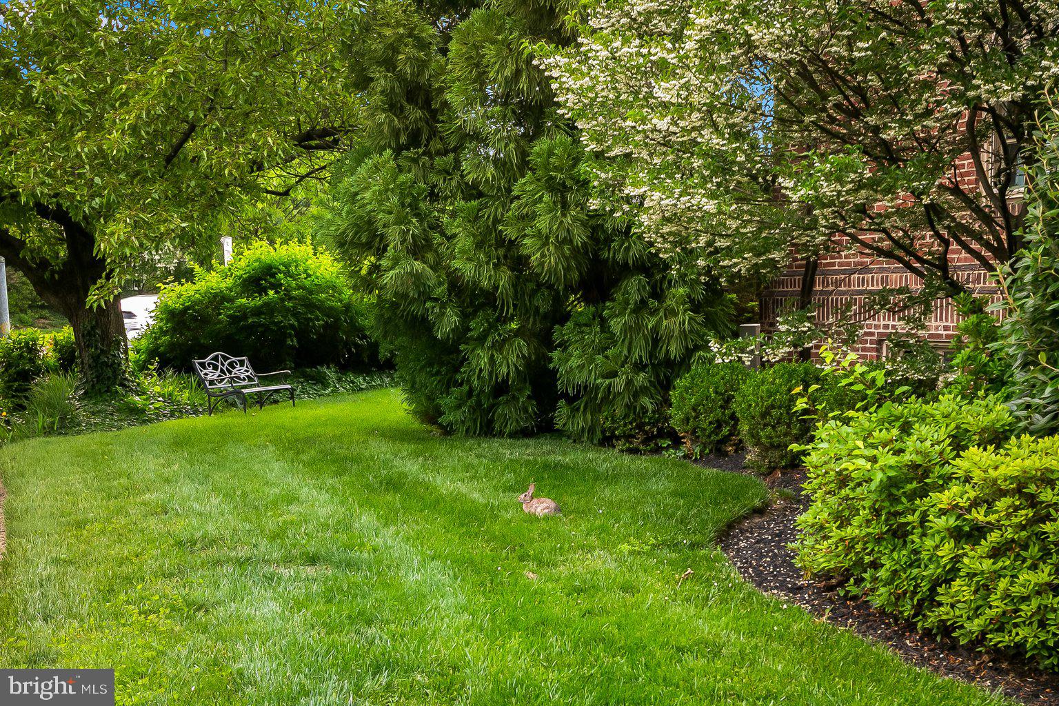 610 Somerset Road, Unit 302 Baltimore, MD 21210 - Photo 3 of 35 front lawn (w/bunny!)