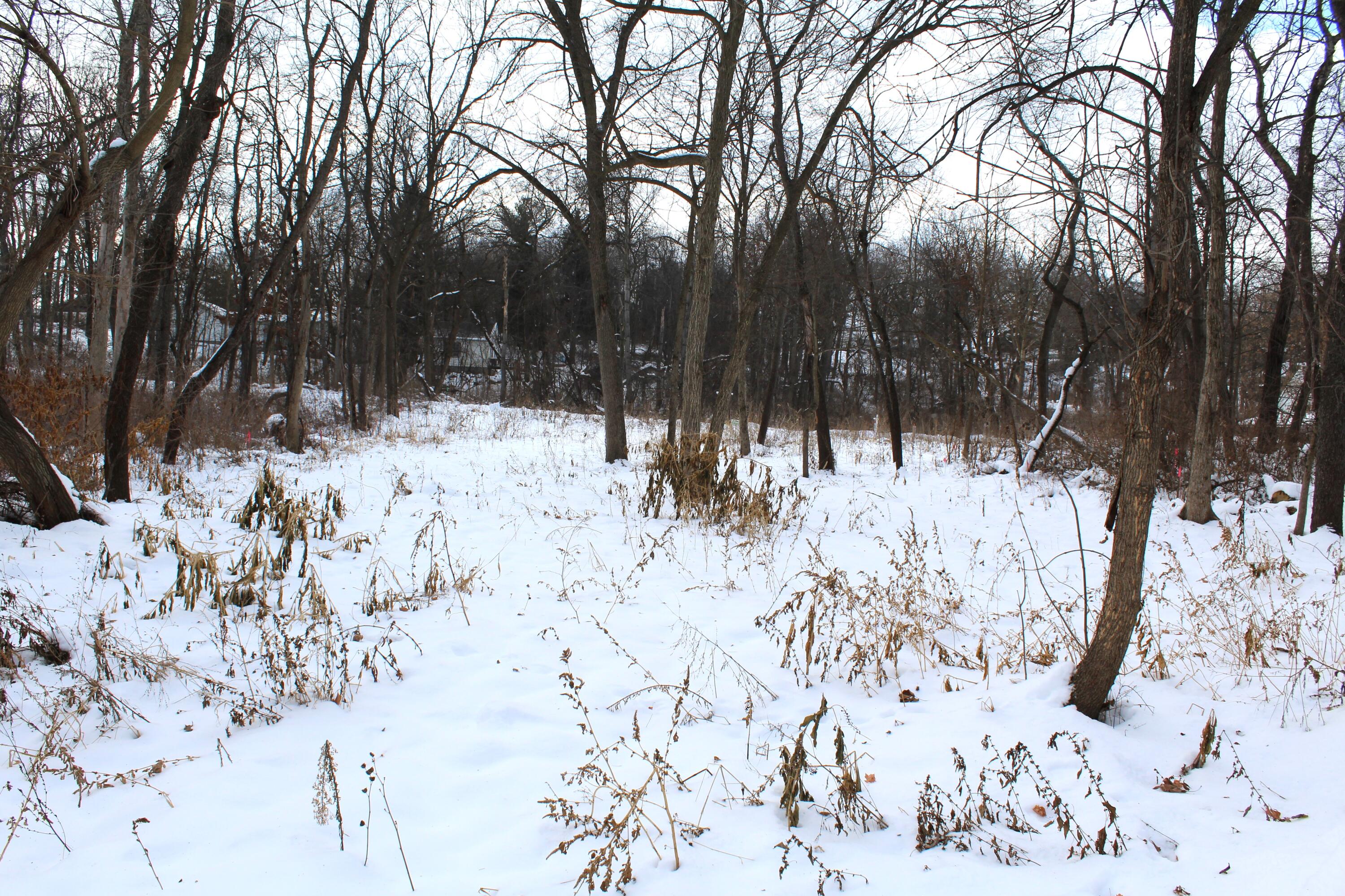 Lt0 Cedar Road Delavan, WI 53115 - Photo 2 of 19 Vacant Lot