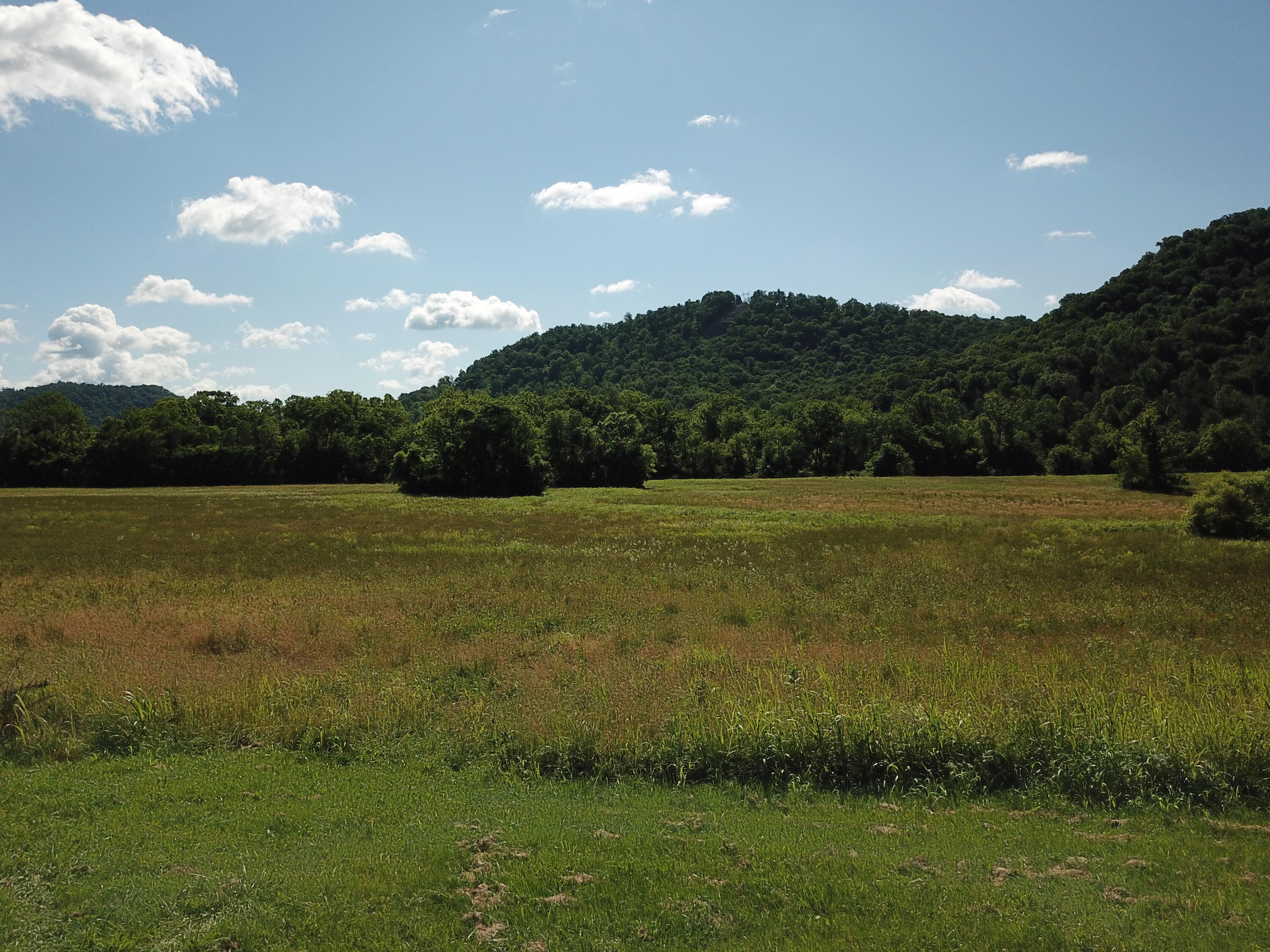 4105 Red Lick Road Irvine, KY 40336 - Photo 9 of 23 DJI_0046