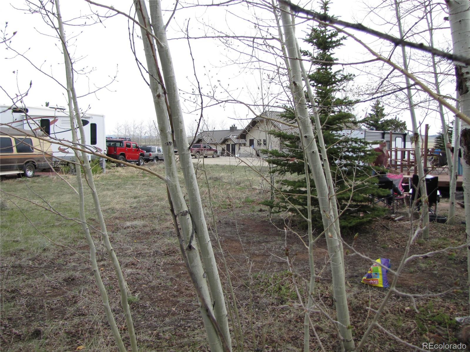 Undisclosed Address Fairplay, CO 80440 - Photo 8 of 11 a view of outdoor space yard and tree