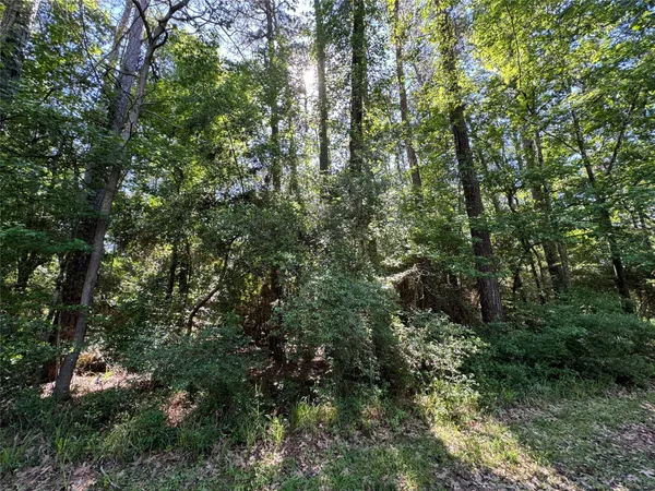 $2,500 | 16 Forrest Hollow, Trinity, TX 75862
