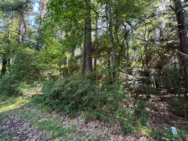 $2,500 | 16 Forrest Hollow, Trinity, TX 75862