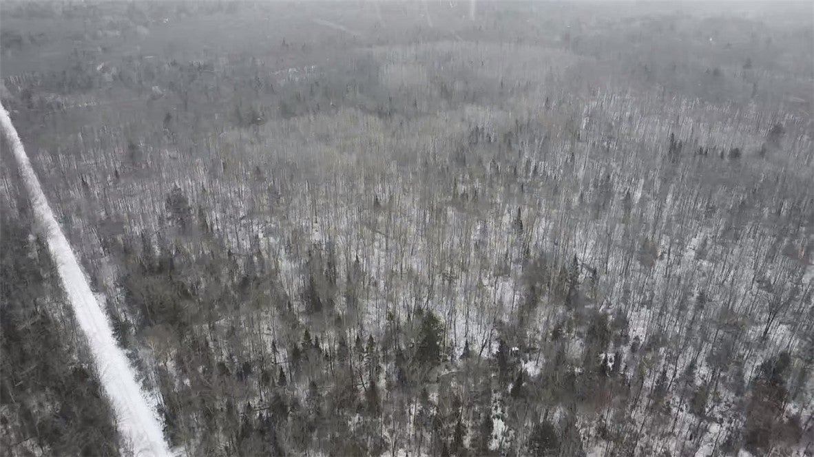 Lot 7 Uncle Toms Road Winter, WI 54896 - Photo 1 of 1 Gallery Image 1