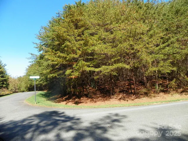 a view of a yard with a trees