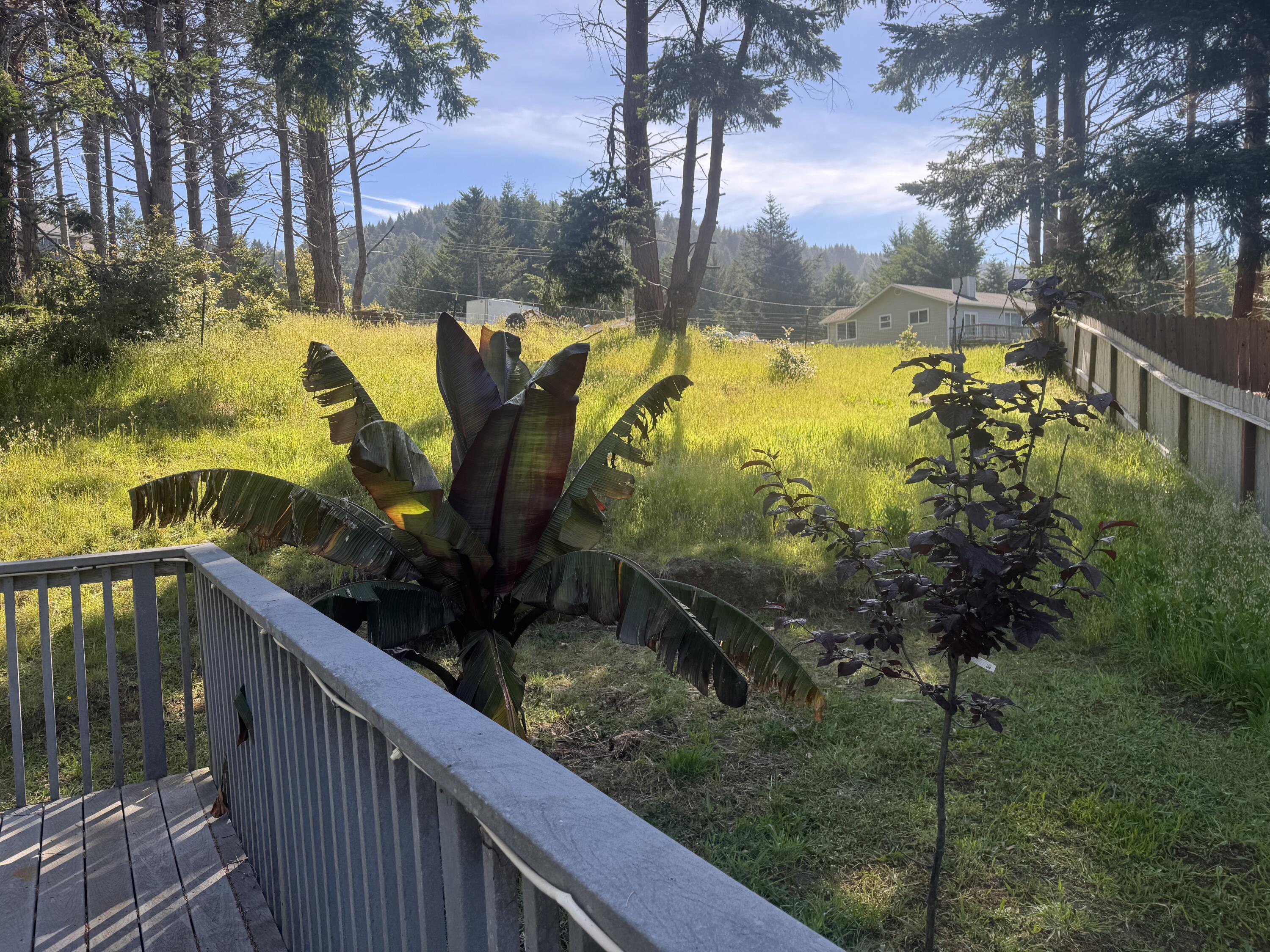 77 Hickory Road Shelter Cove, CA 95589 - Photo 20 of 23
