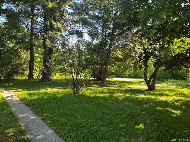 97 Cold Spring Road Stanfordville, NY 12581 - Photo 3 of 16