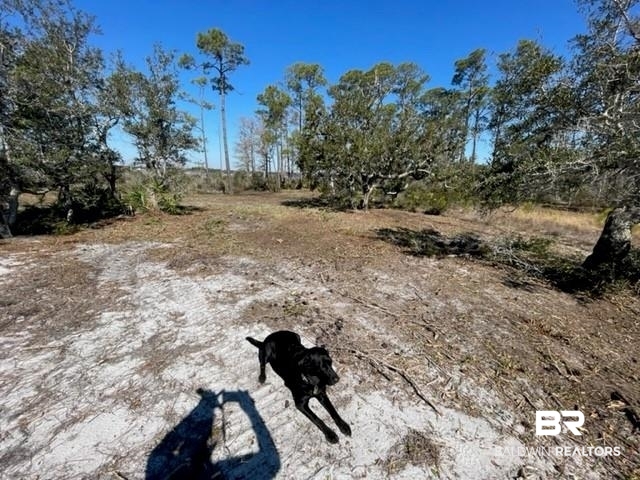 Tbd River Road Pensacola, FL 32507 - Photo 8 of 10