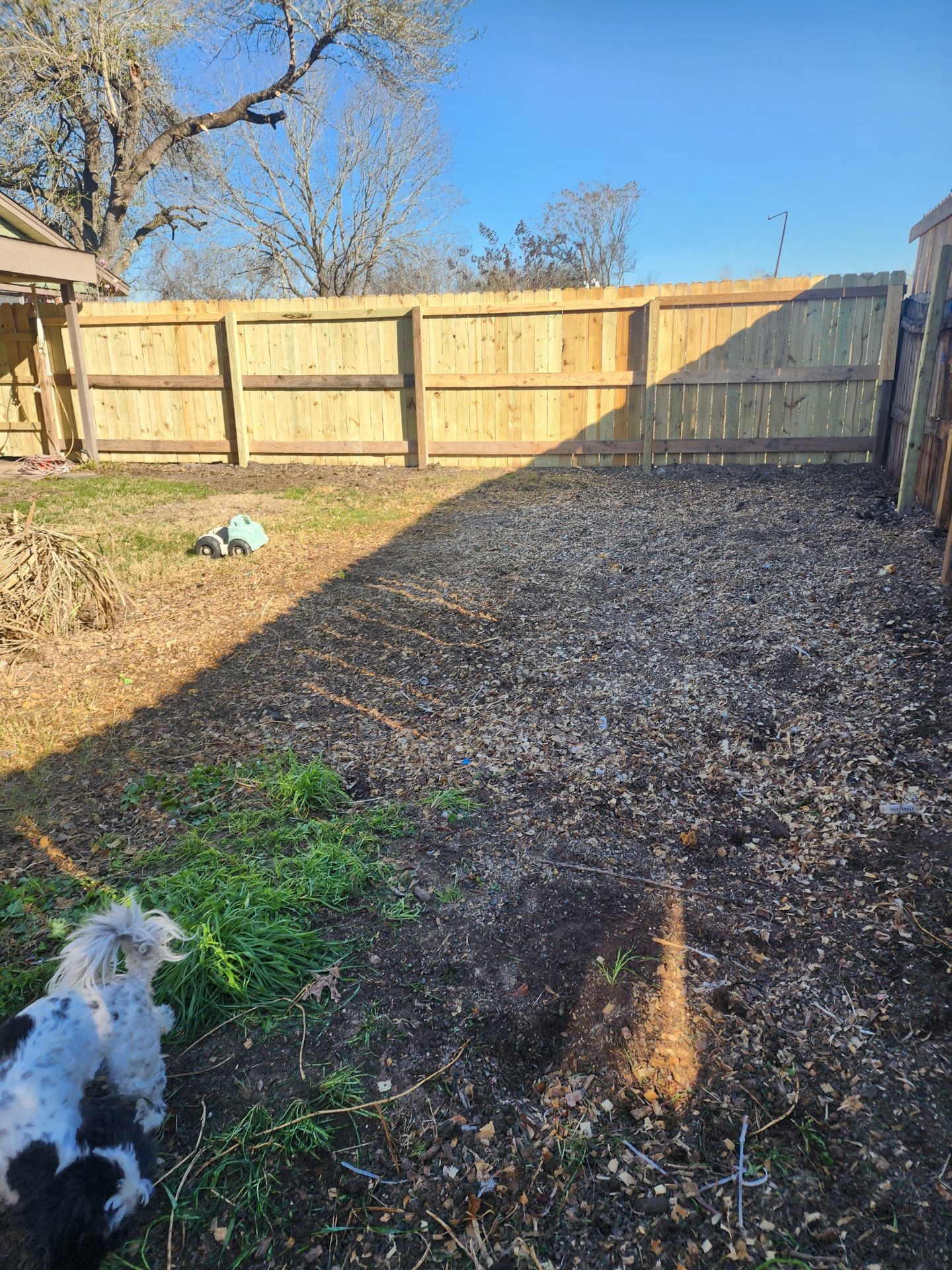 2414 Goldenrod Street Highlands, TX 77562 - Photo 20 of 22