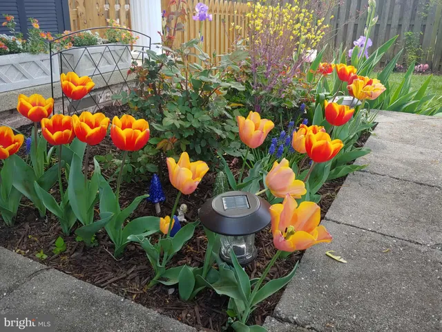 $599,000 | 7906 Esther Drive, Oxon Hill, MD 20745