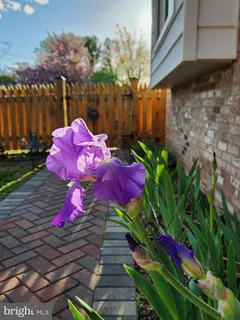 $599,000 | 7906 Esther Drive, Oxon Hill, MD 20745