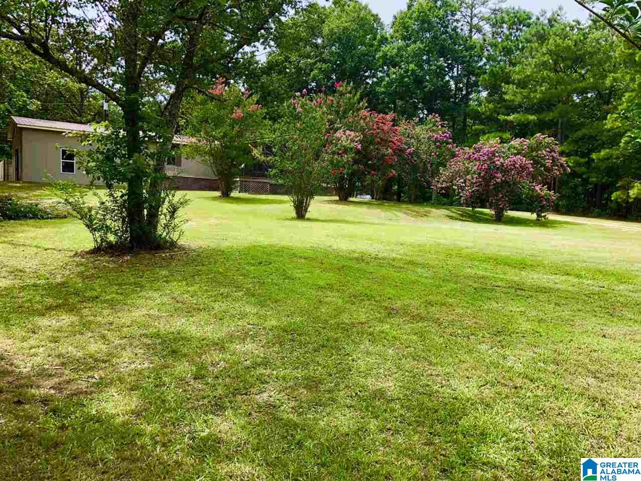 1661 Roy Webb Cutoff Road Piedmont, AL 36272 - Photo 40 of 41