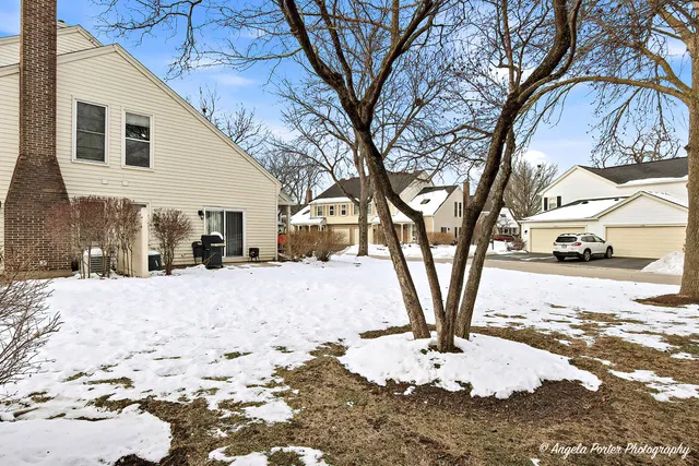 a view of road with large trees