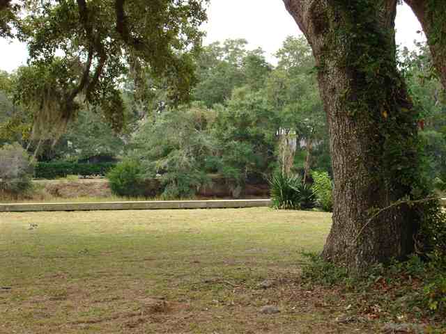 Lot 11 Flagg Street Murrells Inlet, SC 29576 - Photo 1 of 10