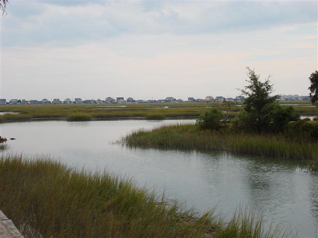 Lot 11 Flagg Street Murrells Inlet, SC 29576 - Photo 3 of 10