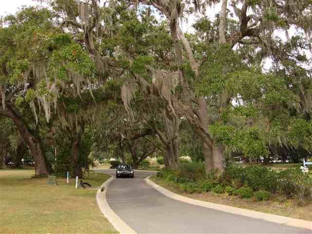 Lot 11 Flagg Street Murrells Inlet, SC 29576 - Photo 4 of 10