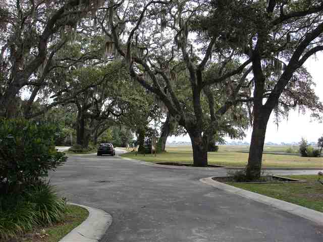 Lot 11 Flagg Street Murrells Inlet, SC 29576 - Photo 5 of 10