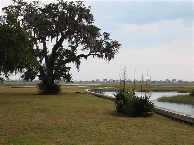 Lot 11 Flagg Street Murrells Inlet, SC 29576 - Photo 6 of 10