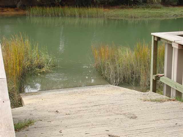 Lot 11 Flagg Street Murrells Inlet, SC 29576 - Photo 8 of 10