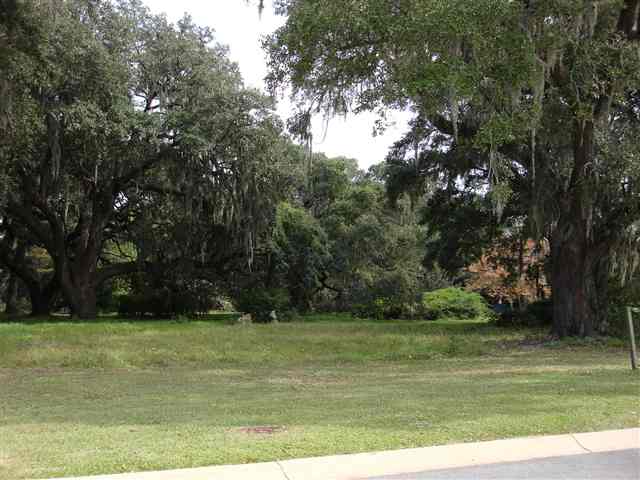 Lot 11 Flagg Street Murrells Inlet, SC 29576 - Photo 9 of 10
