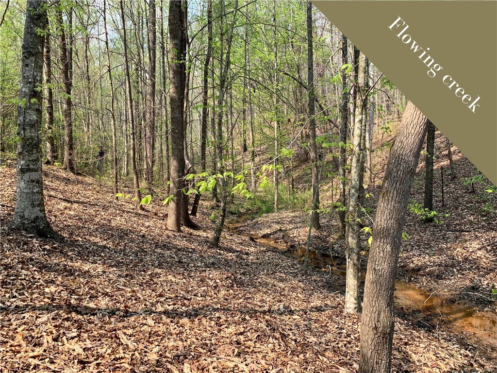 104 State Rd S-37-209 Westminster, SC 29693 - Photo 3 of 48 Flowing Creek